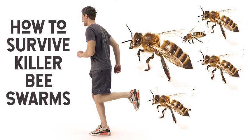 killer bees chasing a man
