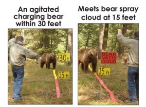 bear spray example 